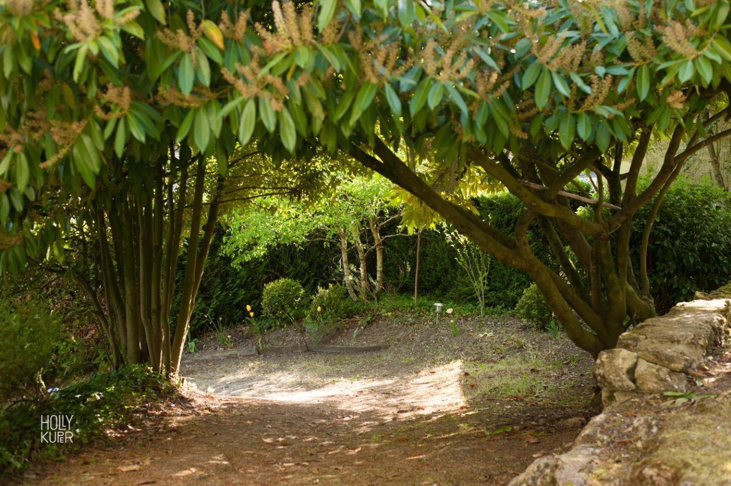 Songbird Sanctuary Civray-de-Touraine Quarto foto